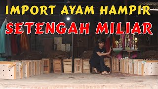 Download lagu UNBOXING KOLEKSI AYAM IMPORT | BELANJA IMPORT HAMPIR SETENGAH MILYAR mp3