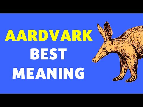 Meaning of Aardvark | Definition of Aardvark [NEW VIDEO]
