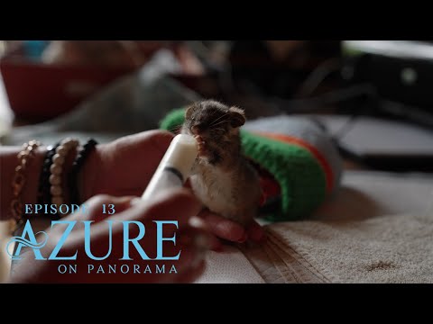 Azure on Panorama | Episode Thirteen | Wildlife, Wellness & Spa Secrets You Won’t Want to Miss! 🌿✨