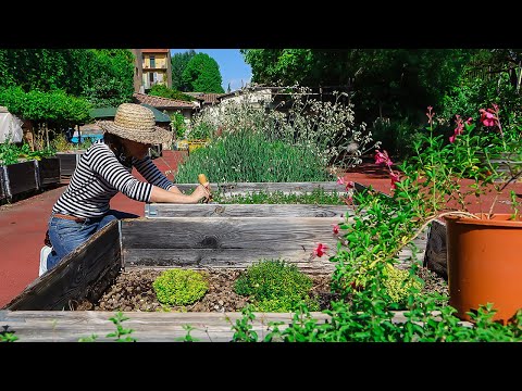 Il Bisonte with Orti Dipinti