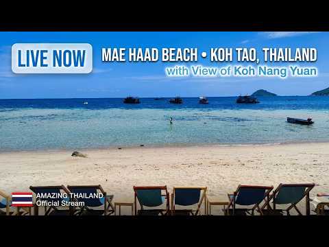 Live Webcam of Mae Haad Bay, Ko Tao live cam