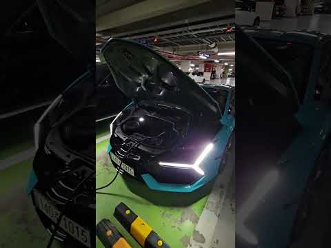 “10억 람보르기니 전기 충전 중ㅋㅋ 전기료 얼마 나올까?” #lamborghini #revuelto #전기차 #우파푸른하늘