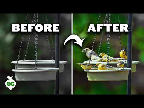 Garden With Me Starting Seeds Pruning Composting