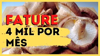 Curso de Cultivo e Comrcio de Cogumelo Shiitake, Shimeji e Agaricus Blazei - Fature R$4 mil | #001