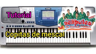 Copitas de mescal_Acapulco tropical tutorial *Inoss Mendoza el real de los teclados*%