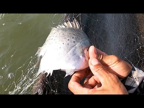 EP140:PART2-SINUBUKAN AT DI SINUKUAN/PAMAMANTI/ CATCH AND COOK