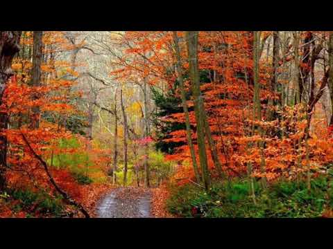 Miau Bula Sia | Cakau Ni Mana Kei Uluinaviriviri