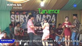Download lagu TANAMOR ICHA SYEH SURYA NADA ENTERTAINMENT mp3 Download lagu TANAMOR ICHA SYEH SURYA NADA ENTERTAINMENT mp3