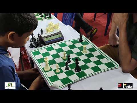 Checkmate outta nowhere ends the game