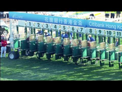 Joao Moreira MV Final Ver2