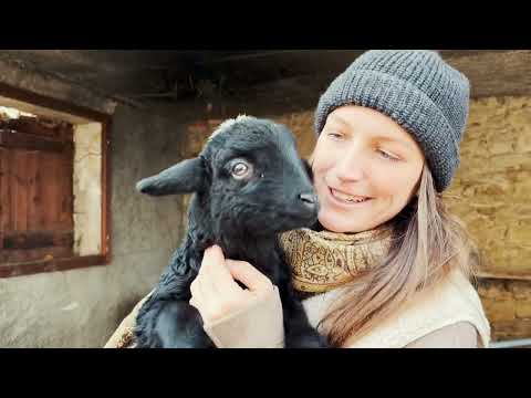 Tour of our 500-year-old farm