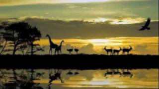 "Creation Is Waiting" David Baroni (Instrumental)