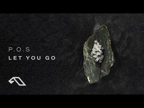 P.O.S - Let You Go
