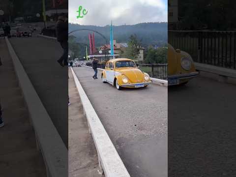 Fusca chegando no 10° encontro de carros antigos de São Vendelino #carrosantigos #fusca