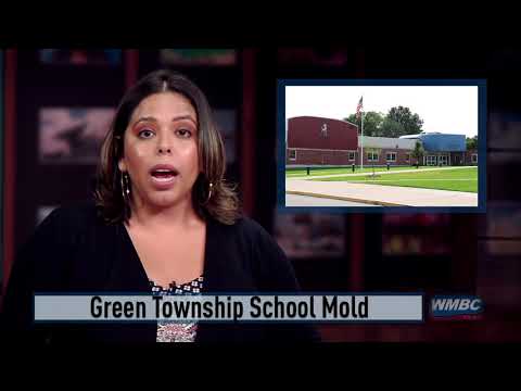 Green Township Mold