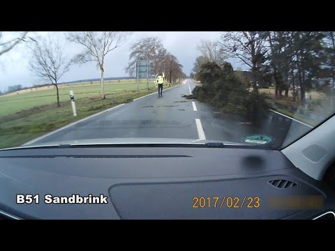 Sturm "Thomas" fegt über die Dümmer-Region