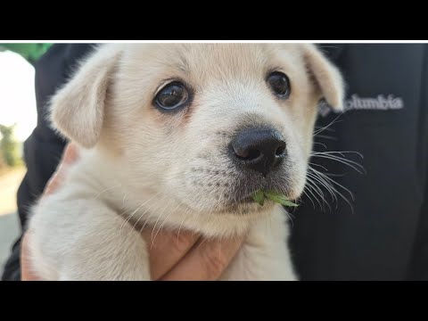 YouTube 썸네일