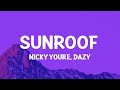 Nicky Youre, dazy - Sunroof (Lyrics) Nicky Youre, dazy - Sunroof (Lyrics)