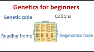 Genetics for beginners| Genetic Code and codons |