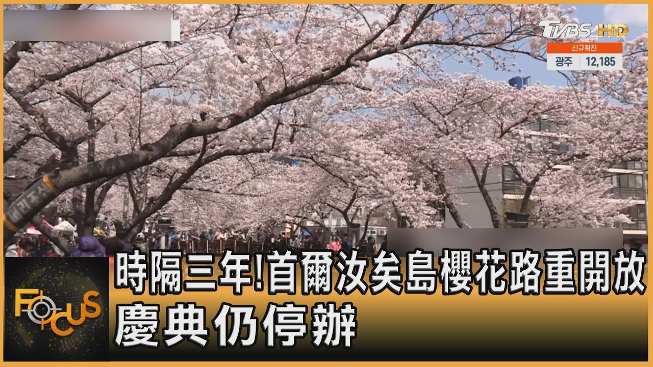時隔三年!首爾汝矣島櫻花路重開放 慶典仍停辦