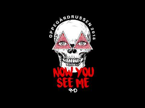 Now You See Me 2018   ZL Project