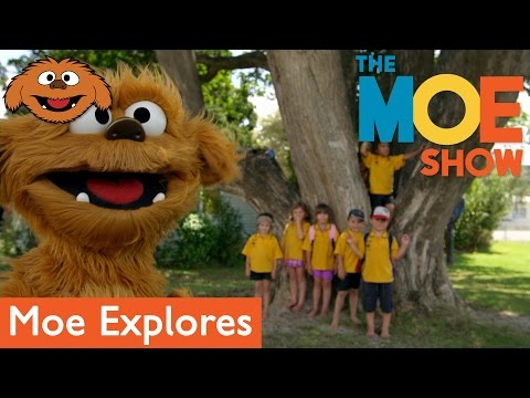 The Moe Show: Moe Explores — School