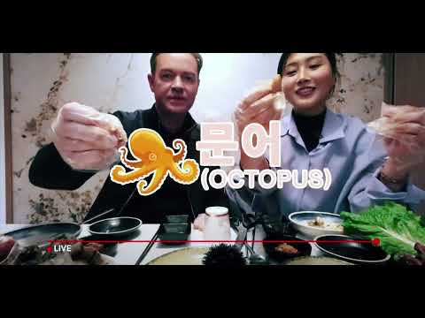 The Accdiental Tourist Trailer 2