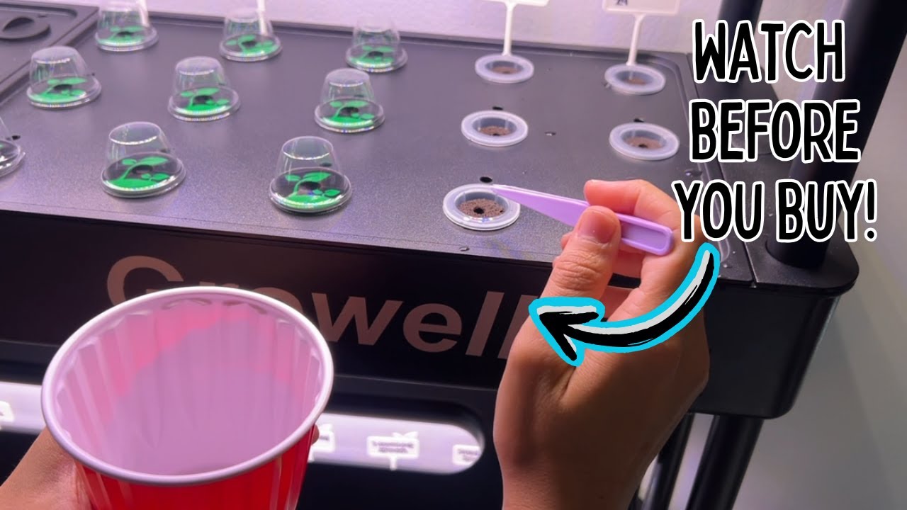 Growell Large Hydroponic - How To Get It Started & Installed