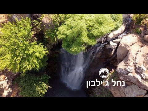 מסלול טיול מעגלי מומלץ בנחל גילבון והסביבה