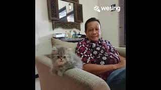 Download lagu Nona Anna (Ade Manuhutu) mp3