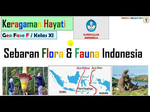 Sebaran Flora Fauna di Indonesia #kumer