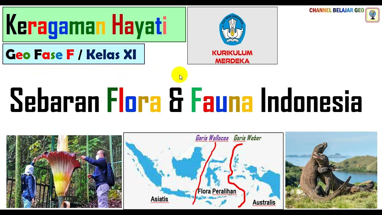 Sebaran Flora Fauna di Indonesia #kumer