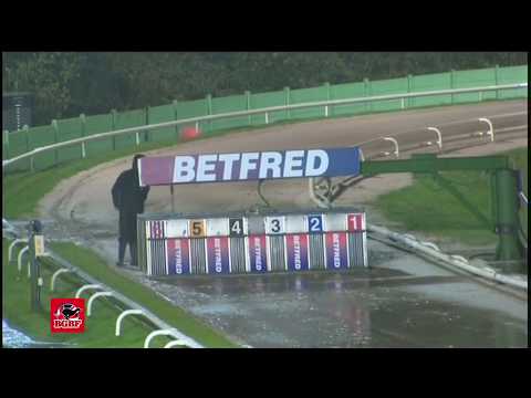The BGBF/Nottingham British Breeders Stakes - 2nd Semi Final - King Turbo