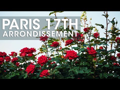 Paris 17th Arrondissement - 20 in 20 Day 17 - Batignolles and Martin Luther King Park Paris