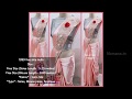 Satin Saree Cheapest Price 1099 Only Plain Satin Saree Saree Collection Satin Saree Design