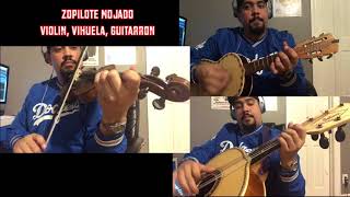 'Zopilote Mojado' Violin, Vihuela, Guitarron Cover
