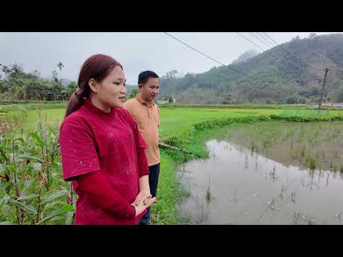 Engineer CHU arrived and wanted to release more fish for DUYEN.