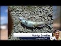 channel
