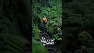 Download lagu Tamil Christian Song Uyar Malaiyo #john jebaraj status mp3