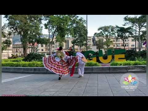 Sanjuanero Tolimense EL CONTRABANDISTA