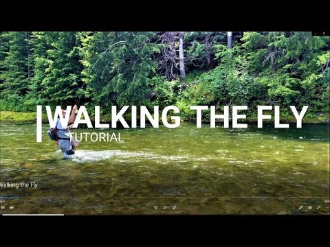Secret River Technique REVEALED!  Fly Fishing Tips & Techniques - Fly Fishing Rivers for Beginners
