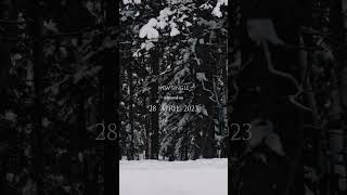 Yiruma's New Single [la bianca primavera] will be released on 28 April 2023