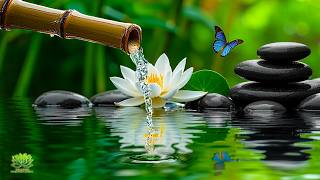 Beautiful Bamboo Water & Piano Sounds 🌿 Spa Healing Music for Sleep, Meditation and Calm Mind