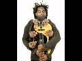 victor wooten victa 