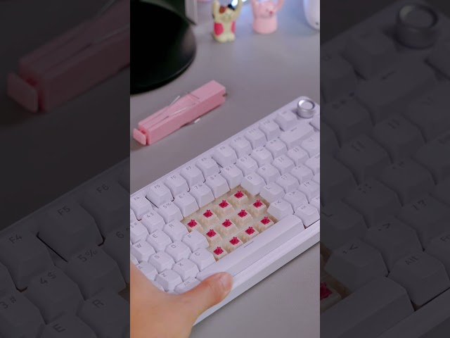 Vídeo relacionado con Dierya DK81E Teclado Mecánico Gaming 75%,Teclado Mecánico Gasket con Knob,RGB Hot Swap Switches Lineales Cremosos,Compacto 81 Teclas Anti-Ghosting,Disposición QWERTY-US,Blanco