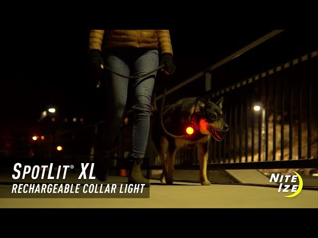 SpotLit™ XL Re...