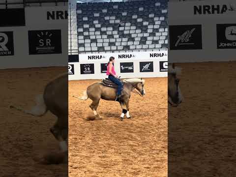 2025 (Found Love Ina Bar) NRHA Derby Prelim Warm Up Spin