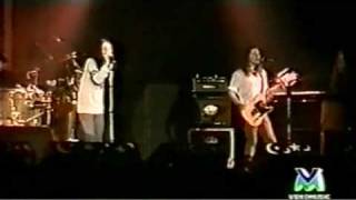 She - live - The Black Crowes