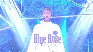 업텐션 ( UP10TION ) - Blue Rose @ 인기가요 (Inkigayo) 181209