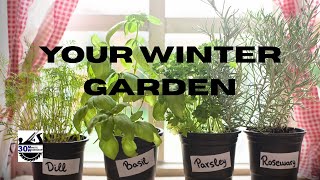 How To Make A Mini Herb Shelf For Any Apartment!